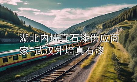 湖北内墙真石漆供应商家-武汉外墙真石漆