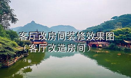 客厅改房间装修效果图（客厅改造房间）