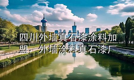 四川外墙真石漆涂料加盟，外墙涂料真石漆厂