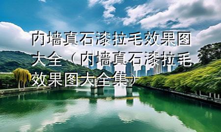 内墙真石漆拉毛效果图大全（内墙真石漆拉毛效果图大全集）