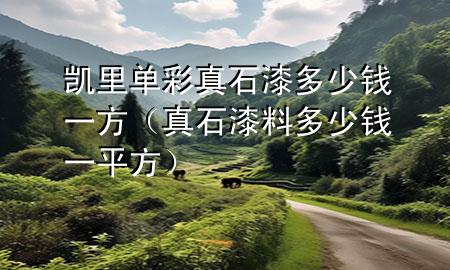 凯里单彩真石漆多少钱一方（真石漆料多少钱一平方）