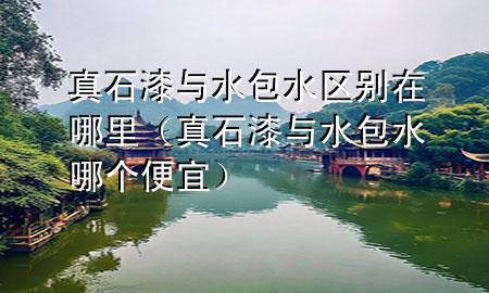 真石漆与水包水区别在哪里（真石漆与水包水哪个便宜）