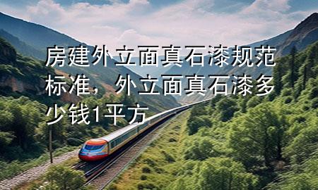 房建外立面真石漆规范标准，外立面真石漆多少钱1平方