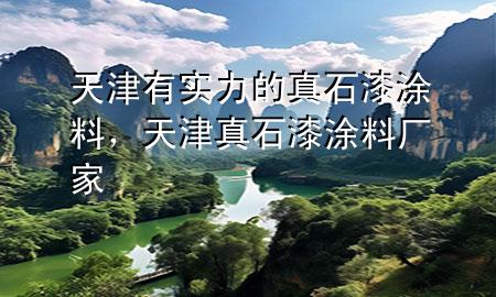 天津有实力的真石漆涂料，天津真石漆涂料厂家