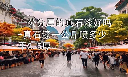 一公分厚的真石漆好吗-真石漆一公斤喷多少平 2.5厚