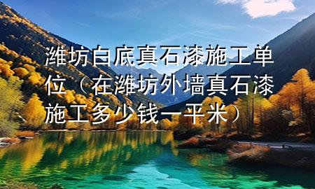 潍坊白底真石漆施工单位（在潍坊外墙真石漆施工多少钱一平米）