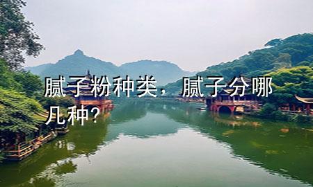 腻子粉 种类，腻子分哪几种?