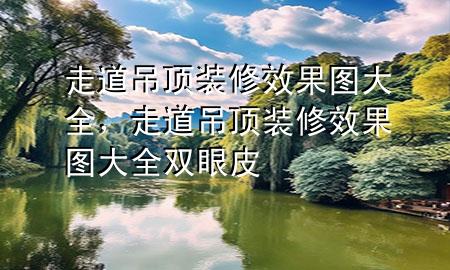 走道吊顶装修效果图大全，走道吊顶装修效果图大全双眼皮