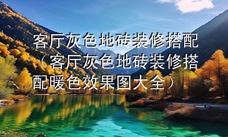 客厅灰色地砖装修搭配（客厅灰色地砖装修搭配 暖色效果图大全）