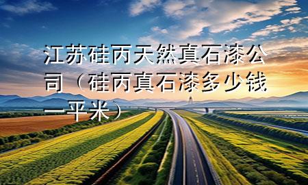 江苏硅丙天然真石漆公司（硅丙真石漆多少钱一平米）