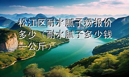 松江区耐水腻子粉报价多少（耐水腻子多少钱一公斤）